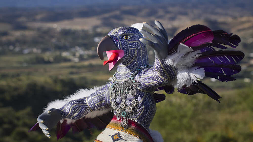 Nagual Guerrero Águila foto