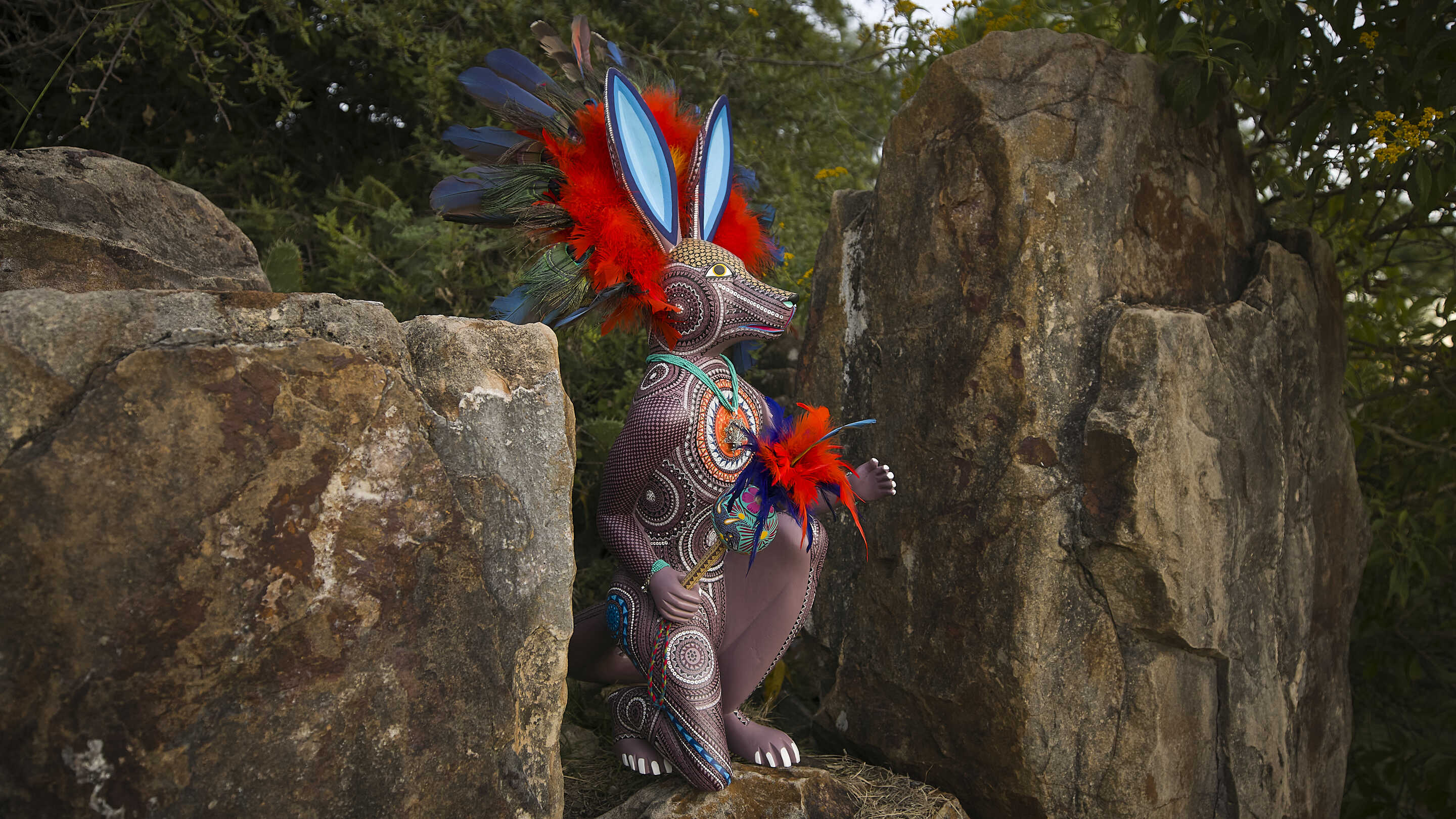 Macehualiztli (Nagual Coyote)